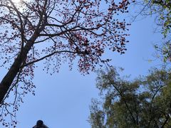 -广州中山纪念堂