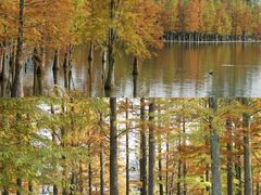 -白鹭湾湿地公园