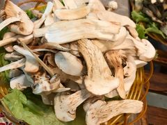-易门野生菌府·菌海森林(月牙潭公园店)