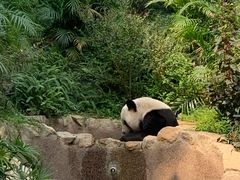 -石排湾郊野公园
