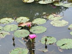 -云溪植物园