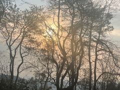 -青龙山国家森林公园