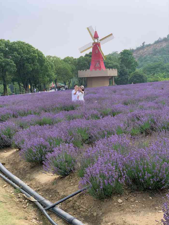 雪浪山生态园-"端午节去的,人超级多,35统一价,学生证.