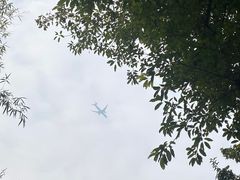 -南山植物园