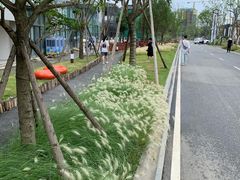 -三圣花乡旅游区