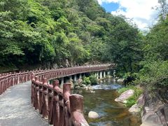 -广州市石门国家森林公园