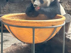 -石家庄市动物园