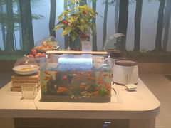 -合和大唐足道·泰式·SPA (凤城五路店)