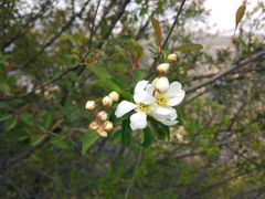 -山西通天峡景区