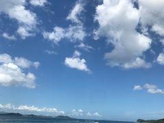 -杨梅坑
