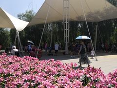 -长春公园(普阳街道)