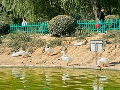 -达活泉公园