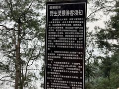 -重庆雨台山风景区