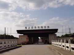 -海上花岛玫瑰园采摘