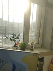 -瑶芳清颜草本祛痘