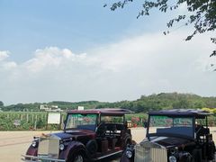 -北京张裕爱斐堡酒庄