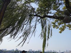 -济南大明湖景区