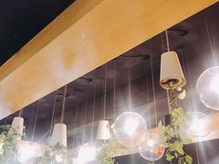 -柴务处·柴犬主题狗咖