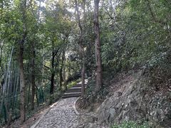 -上海佘山国家森林公园西佘山园