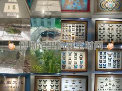 -上海昆虫博物馆