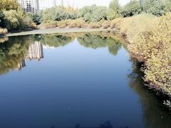 -黑龙江省森林植物园