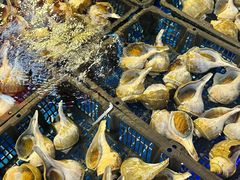 -驻海渔市(置信店)