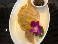 三黄鸡-碧丽宫大酒店(召稼楼店)