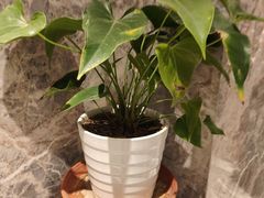 -弘安丽水温泉酒店