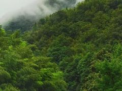 -太湖源风景区