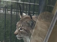 -石家庄市动物园