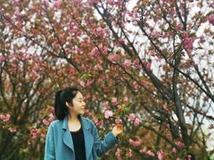 -湖南嵩云山国家森林公园