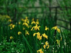 -苏州河梦清园环保主题公园