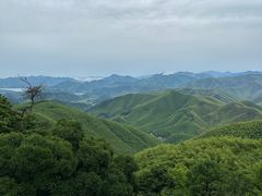 -莫干山风景区