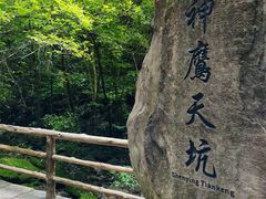 -重庆武隆天生三桥风景区-神鹰天坑