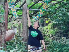 -南窖乡水峪村山情农家