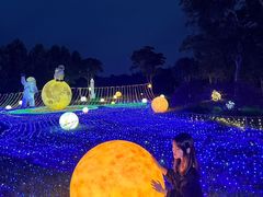 -金卉庄园