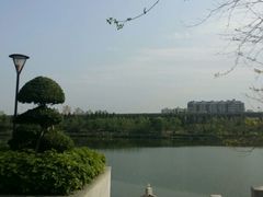 android_upload_pic-琴亭湖公园