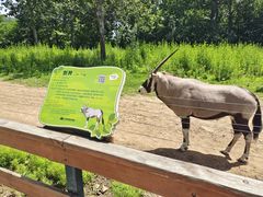 -大连森林动物园