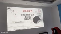-苗塑堂减肥艾灸