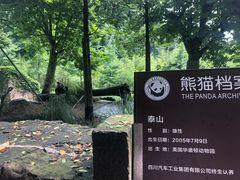 -都江堰中华大熊猫苑