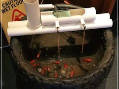 -东方饺子王(王府井关东古巷店)