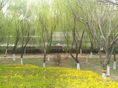 -西安汉城湖景区