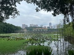 -广州雕塑公园