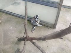 -水绘园