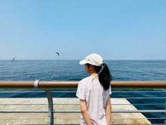 -东港音乐喷泉广场