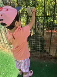 -萌宠亲子动物乐园(槐房万达店)