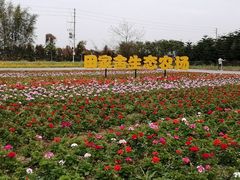 -迪茵湖田家舍生态农场