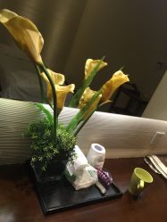 -娇莉芙美颜SPA连锁