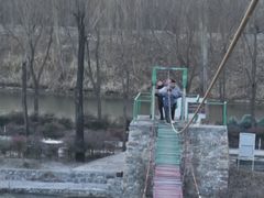 -东方巨龟苑景区