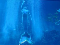 -威海华夏城景区